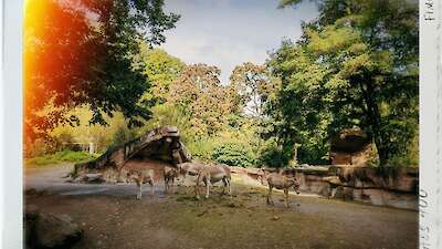 Eindrücke aus dem Tierpark Hagenbeck in Hamburg